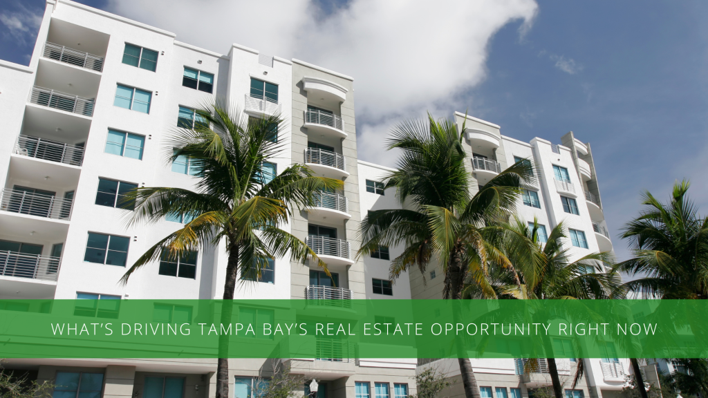 Tampa Bay neighborhoods popular with investors in 2025